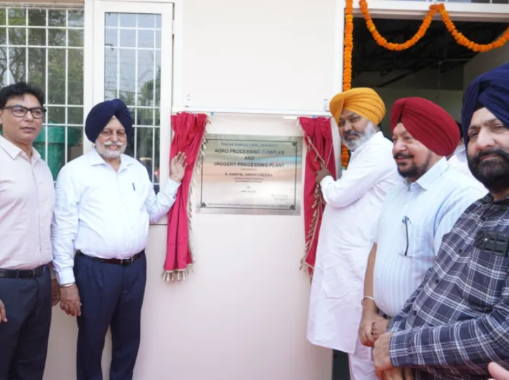 Rs 40 Crore Grants To Pau