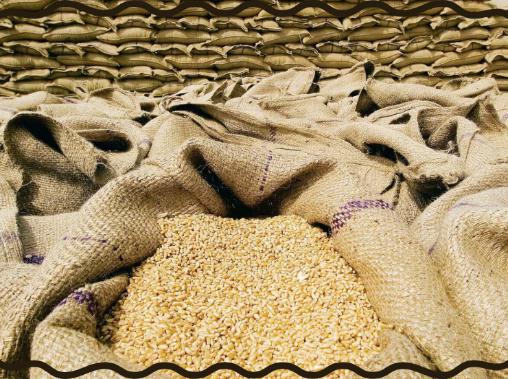 Wheat procurement