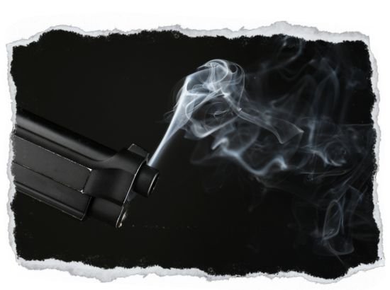Gun