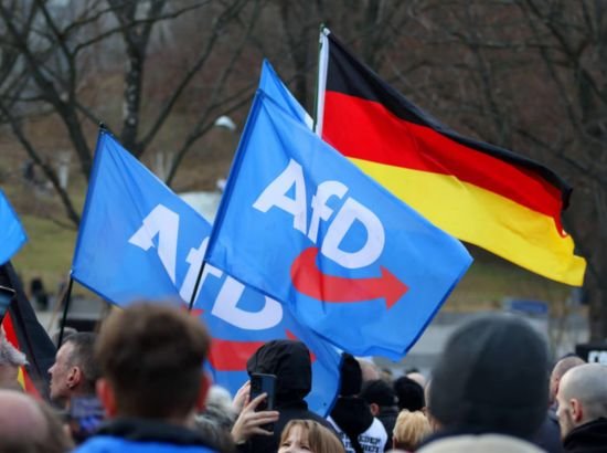 German far-right party extremist