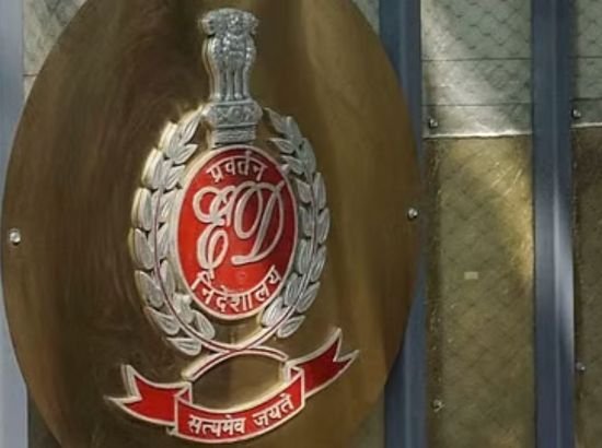 Ed Raid In Punjab