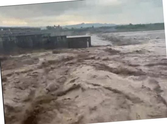 Latest News (44)