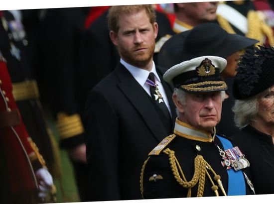 Prince Harry Denounces Claims of Strained Meeting with King, Cites Sabotage